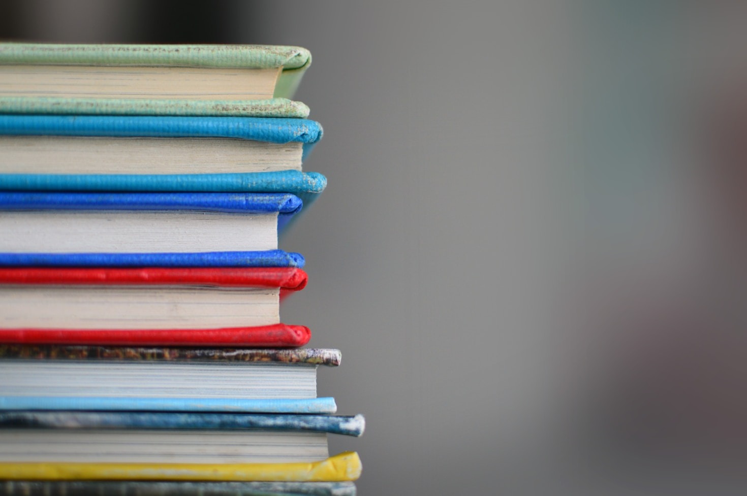Spannung bis zur letzten Buchseite garantiert